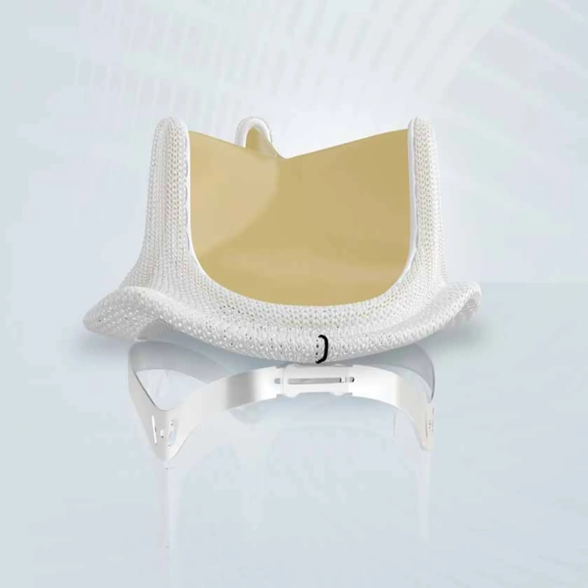 Válvula aórtica Inspiris Resilia 23 mm (11500A23)